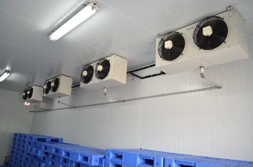 fruit ripening chamber