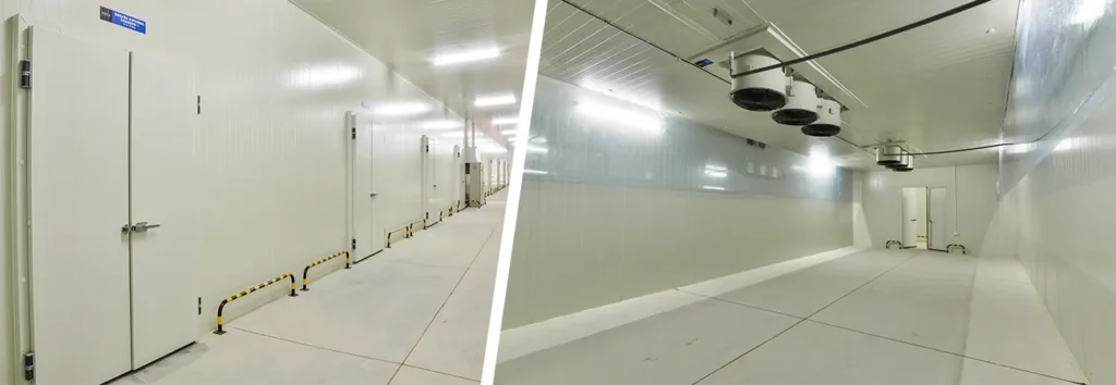 mango ripening chamber