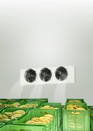 Ripening Chamber Manufacturer in Nagpur